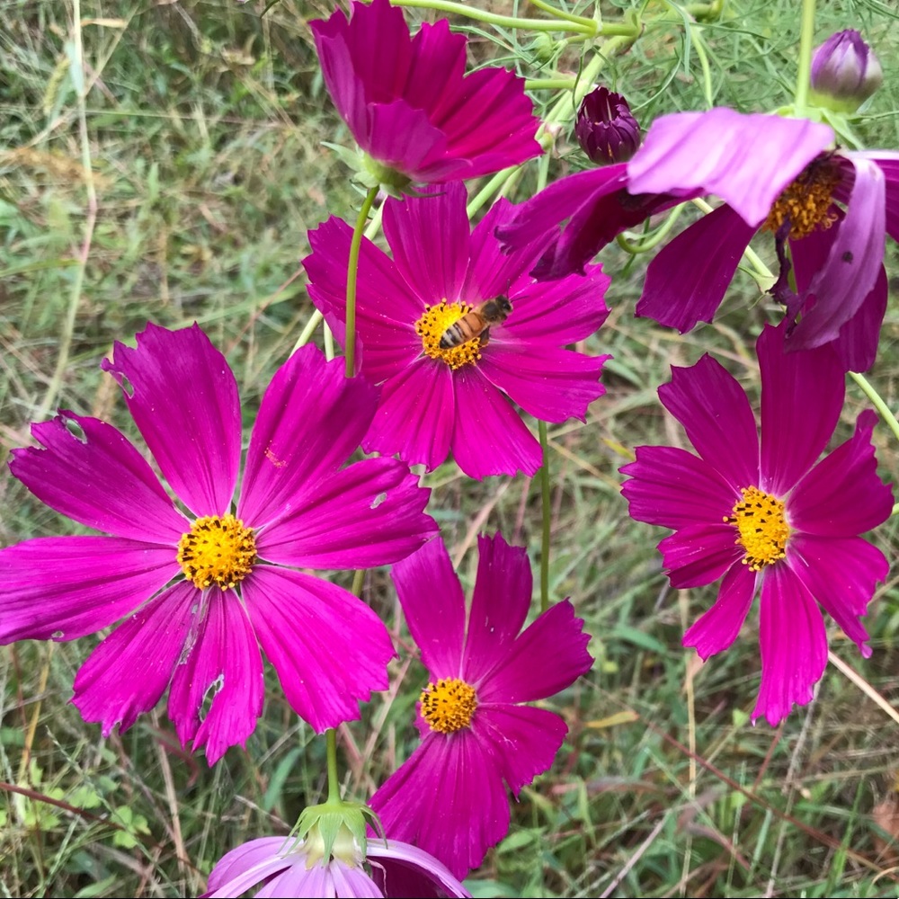 Meet your Posher, ArtloreHome